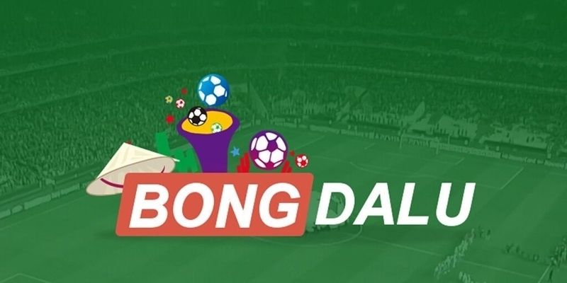 Hành trình phát triển và vị thế vững chắc của Bongdalu