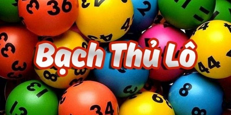 Phân tích ưu điểm và nhược điểm của lô bạch thủ